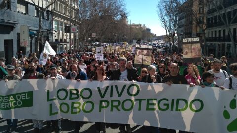 Manifestaci&oacute;n en Madrid por la protecci&oacute;n del Lobo Ib&eacute;rico