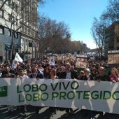 Manifestación en Madrid por la protección del Lobo Ibérico