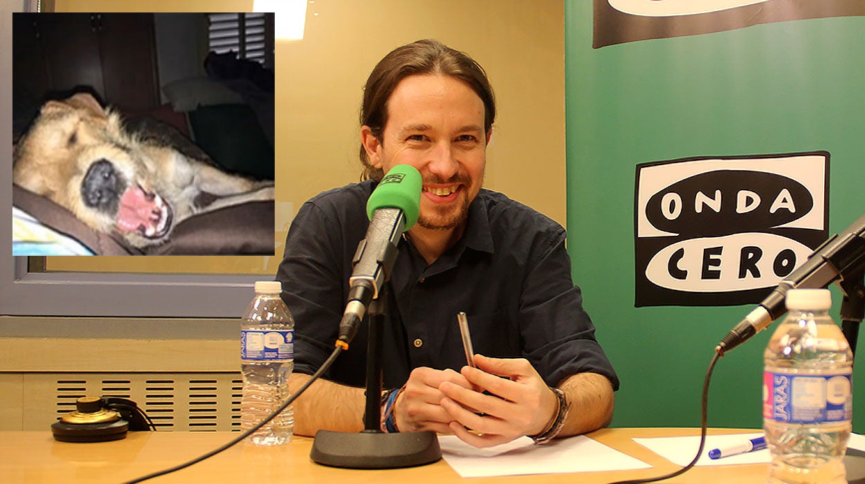 Tirso, el perro de Pablo Iglesias: 'Yo soy de PACMA, no soy de Podemos' Tirso, el perro de Pablo Iglesias: 'Yo soy de PACMA, no soy de Podemos'