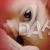 TDAH TDAH