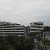 Elche. 