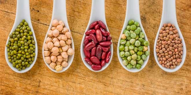 Julio Basulto, nutricionista: "En España tomamos más calorías a través del alcohol que de las legumbres" Julio Basulto, nutricionista: "En España tomamos más calorías a través del alcohol que de las legumbres"