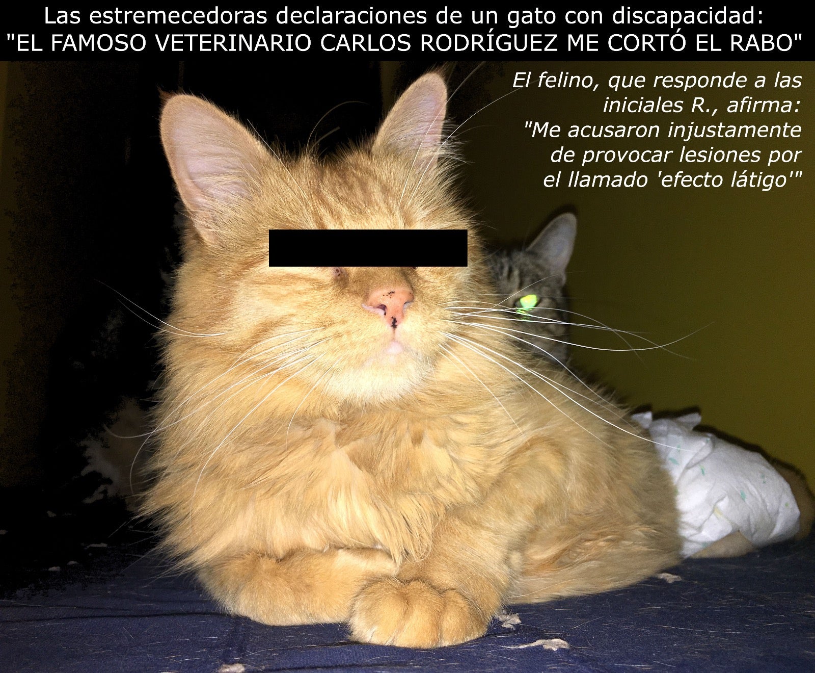 "Eres tonto de sobrada magnitud', Carlos Rodríguez responde a Martín Bernabé sobre su 'efecto látigo' "Eres tonto de sobrada magnitud', Carlos Rodríguez responde a Martín Bernabé sobre su 'efecto látigo'