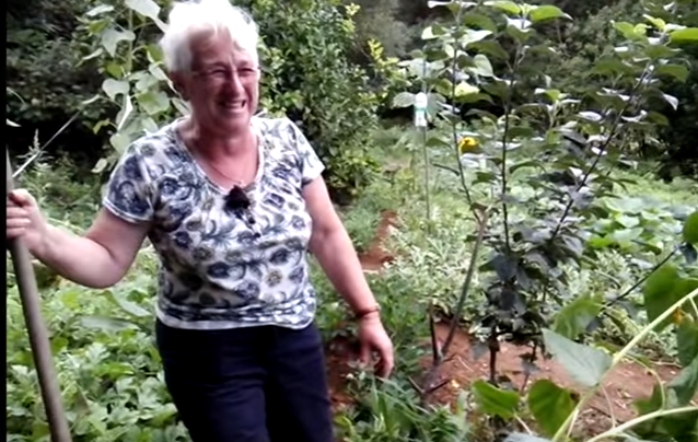 Internet: Carmen y Maruxa, las nuevas estrellas virales a las que les ha crecido marihuana en el huerto... Internet: Carmen y Maruxa, las nuevas estrellas virales a las que les ha crecido marihuana en el huerto...