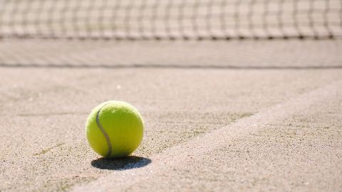Pelota de tenis