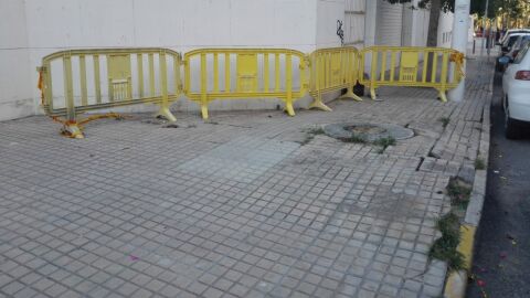Ilicitanos por Elche