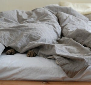 Así no. Toma nota y descubre una nueva y estupenda utilidad del ritual mañanero de hacer la cama Así no. Toma nota y descubre una nueva y estupenda utilidad del ritual mañanero de hacer la cama