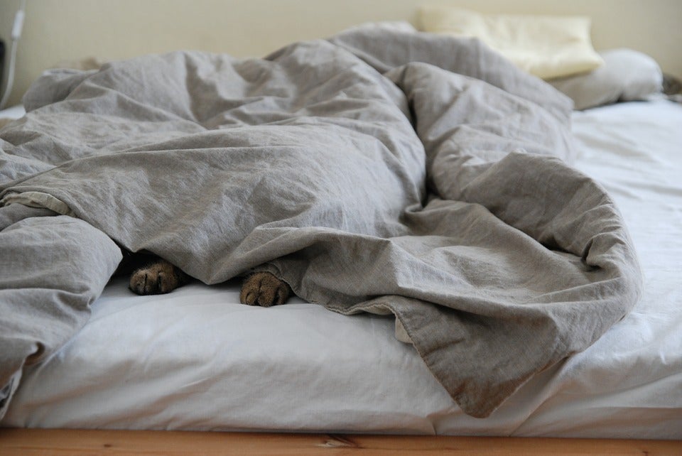 El dilema: ¿Es necesario hacer la cama todos los días en estos días de cuarentena? El dilema: ¿Es necesario hacer la cama todos los días en estos días de cuarentena?