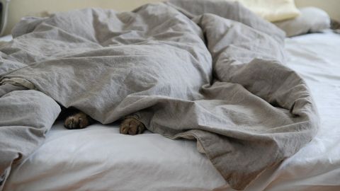 As&iacute; no. Toma nota y descubre una nueva y estupenda utilidad del ritual ma&ntilde;anero de hacer la cama