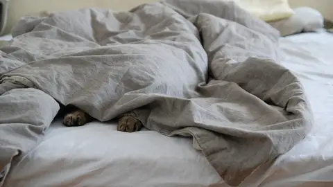 Así no. Toma nota y descubre una nueva y estupenda utilidad del ritual mañanero de hacer la cama Así no. Toma nota y descubre una nueva y estupenda utilidad del ritual mañanero de hacer la cama