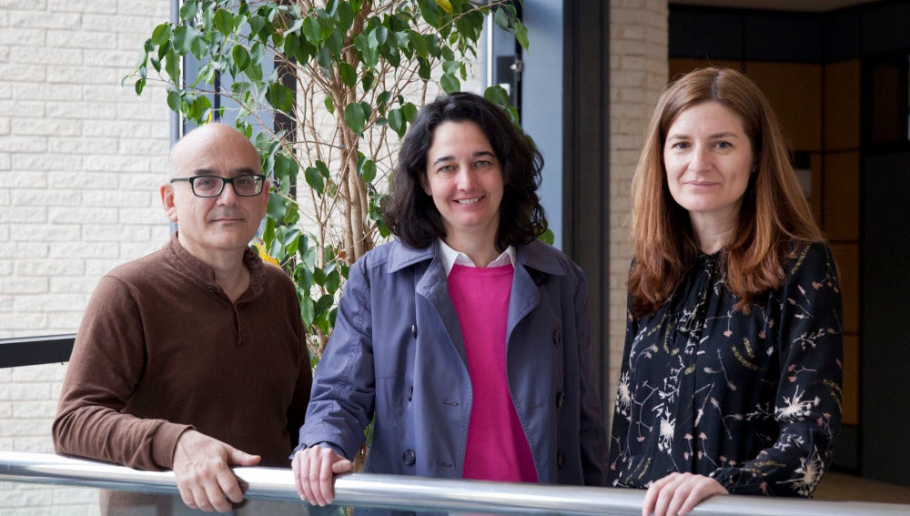 El proyecto Nanotears está liderado por el Grupo de Investigación de Óptica (GROC) de la universidad castellonense.