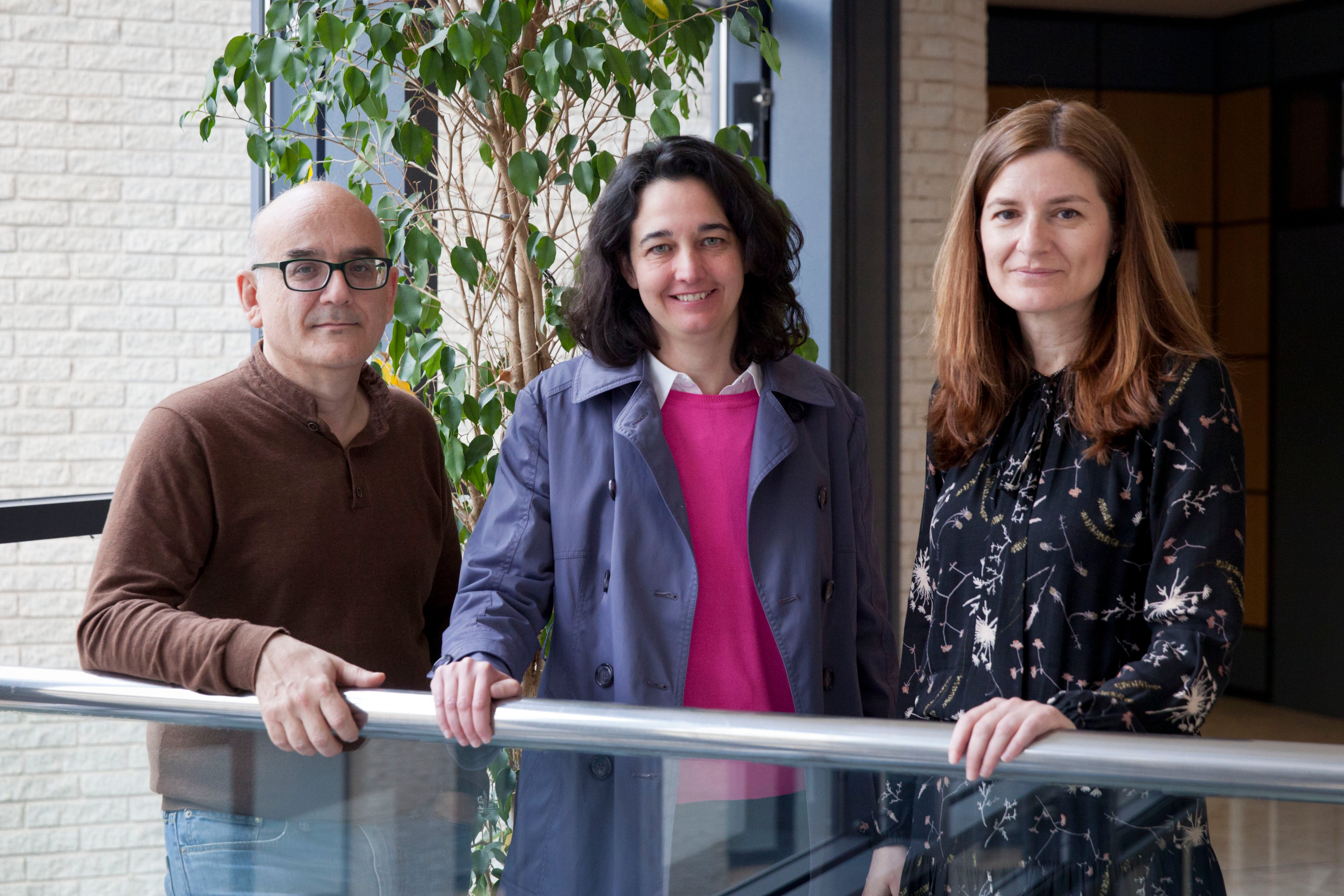 El General de Castelló colabora con la UJI en la determinación de glucosa en la lagrima de diabéticos El General de Castelló colabora con la UJI en la determinación de glucosa en la lagrima de diabéticos