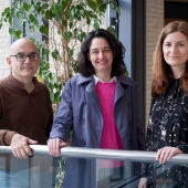 El proyecto Nanotears está liderado por el Grupo de Investigación de Óptica (GROC) de la universidad castellonense.