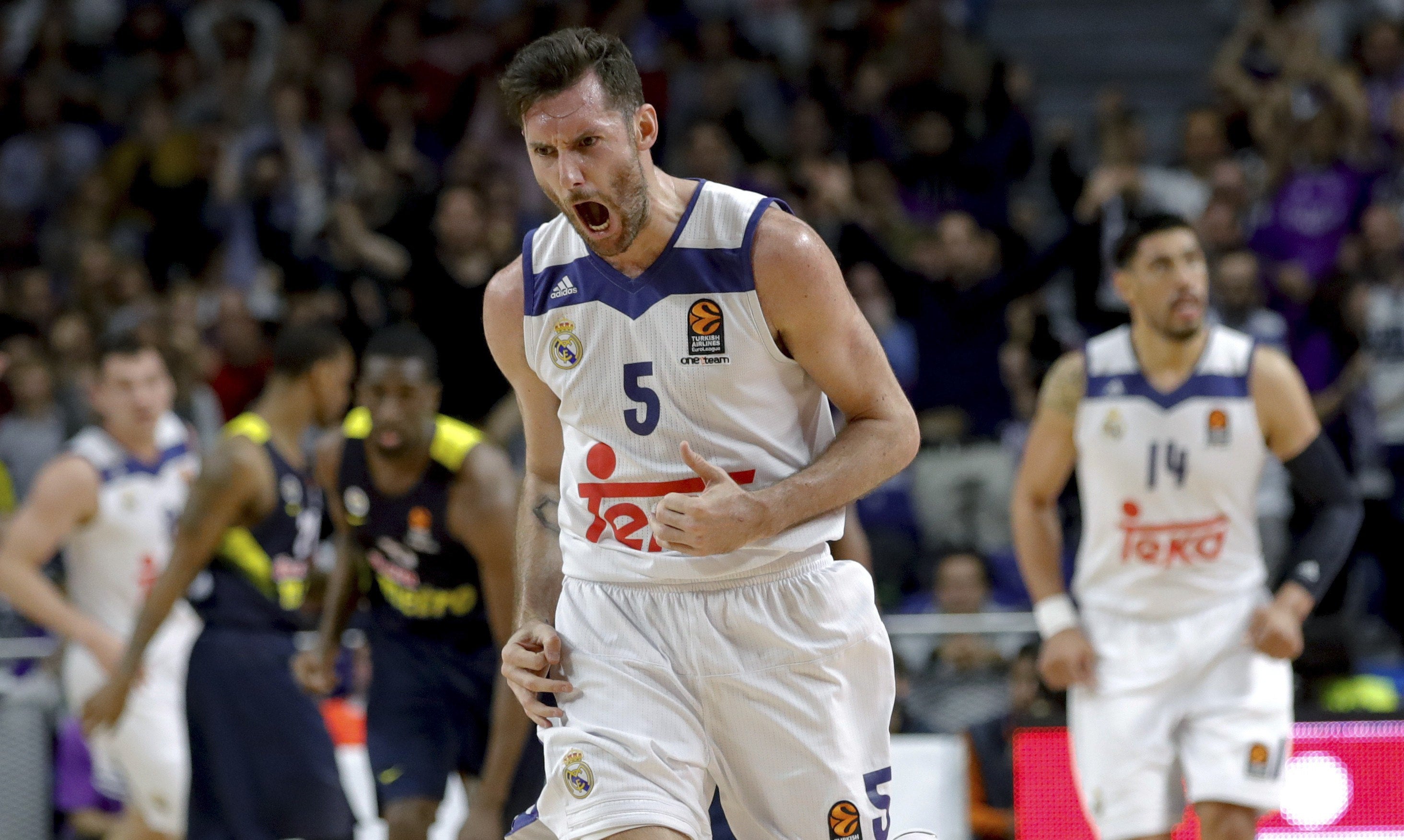 El Real Madrid se afianza el liderato de la Euroliga tras una sufrida victoria frente al Fenerbahce El Real Madrid se afianza el liderato de la Euroliga tras una sufrida victoria frente al Fenerbahce