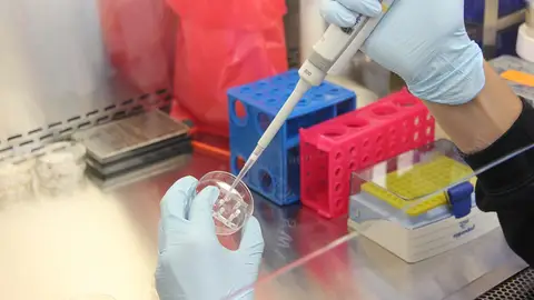 Ciencia en el laboratorio Ciencia en el laboratorio