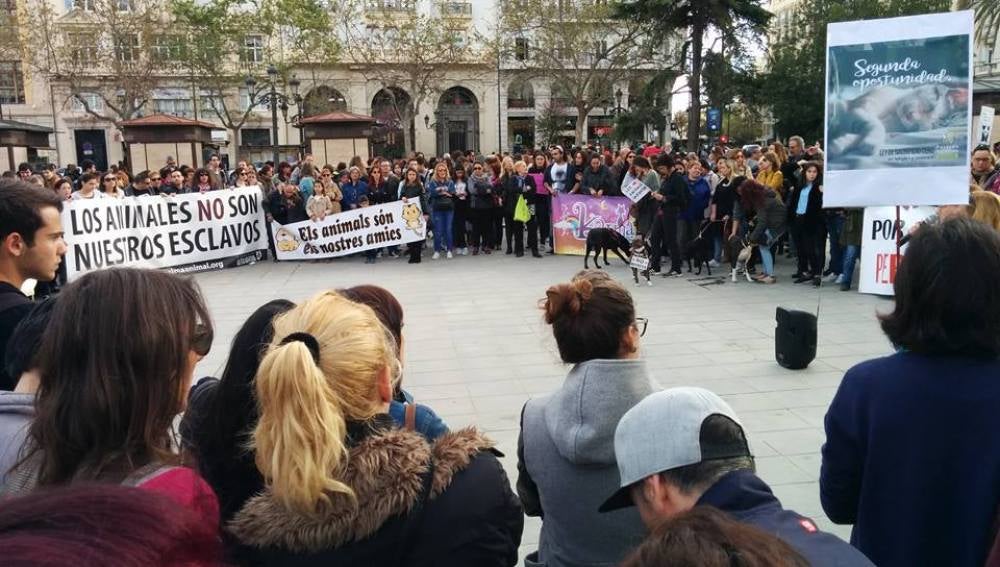 Manifestación en Valencia contra la perrera