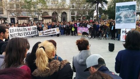 Manifestaci&oacute;n en Valencia contra la perrera