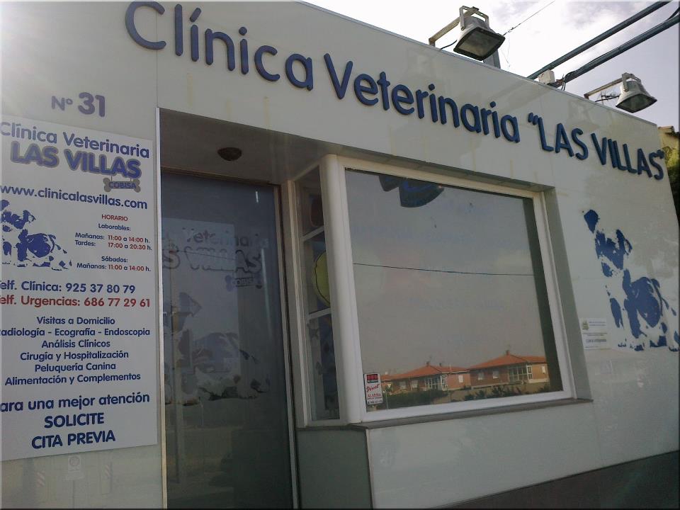 Diagnóstico y tratamiento para la Leishmania Diagnóstico y tratamiento para la Leishmania