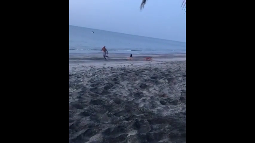 Un joven intenta dar una patada a un perro y es atacado por una manada Un joven intenta dar una patada a un perro y es atacado por una manada