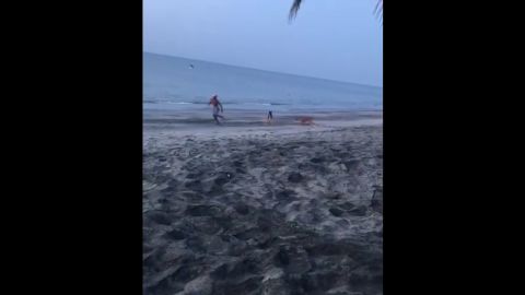 Frame 6.804714 de: Intenta dar una patada a un perro y una manada se abalanza sobre &eacute;l para defenderlo