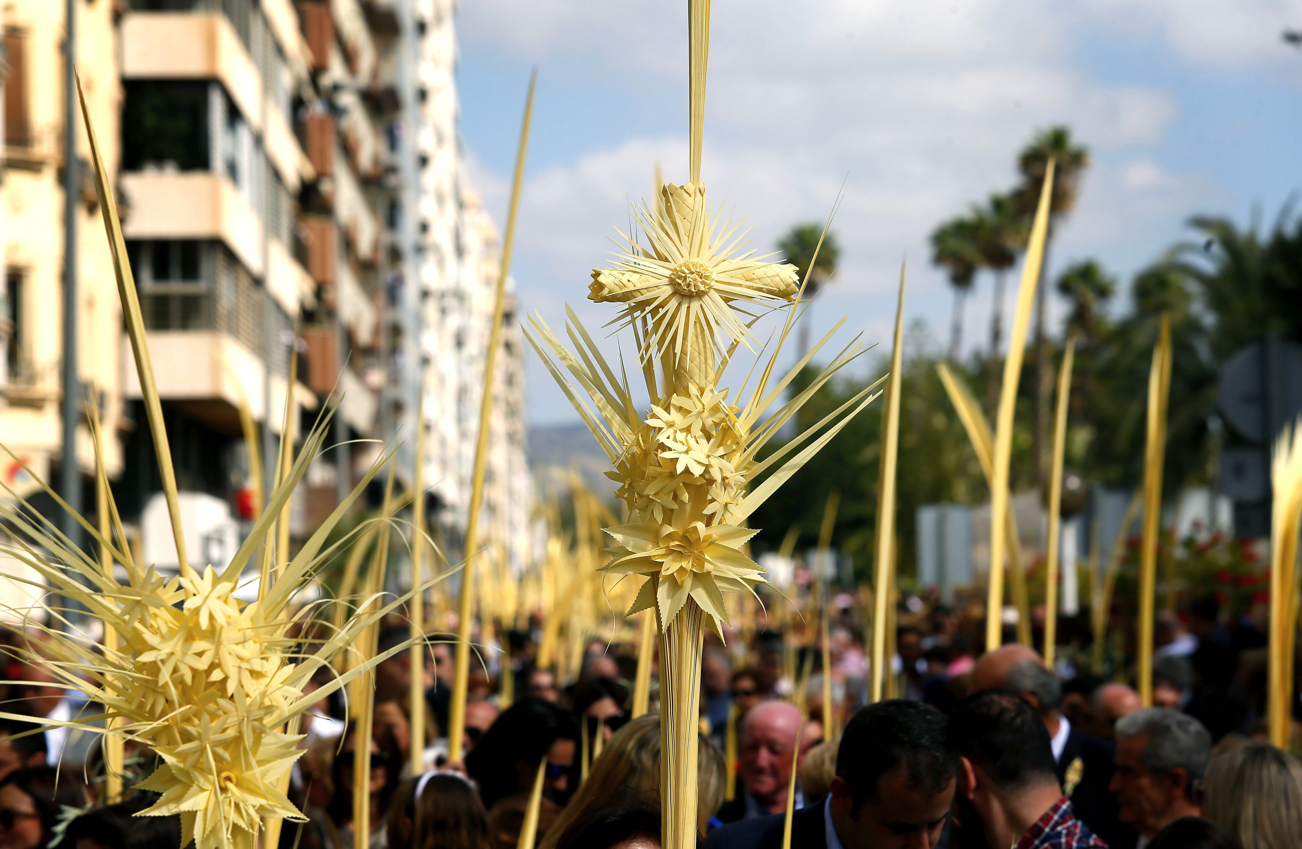 El Ayuntamiento de Elche llama a celebrar Domingo de Ramos desde los balcones con aplausos y cantando ‘Aromas ilicitanos’ El Ayuntamiento de Elche llama a celebrar Domingo de Ramos desde los balcones con aplausos y cantando ‘Aromas ilicitanos’