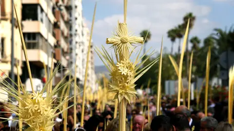 Domingo de Ramos en Elche. Domingo de Ramos