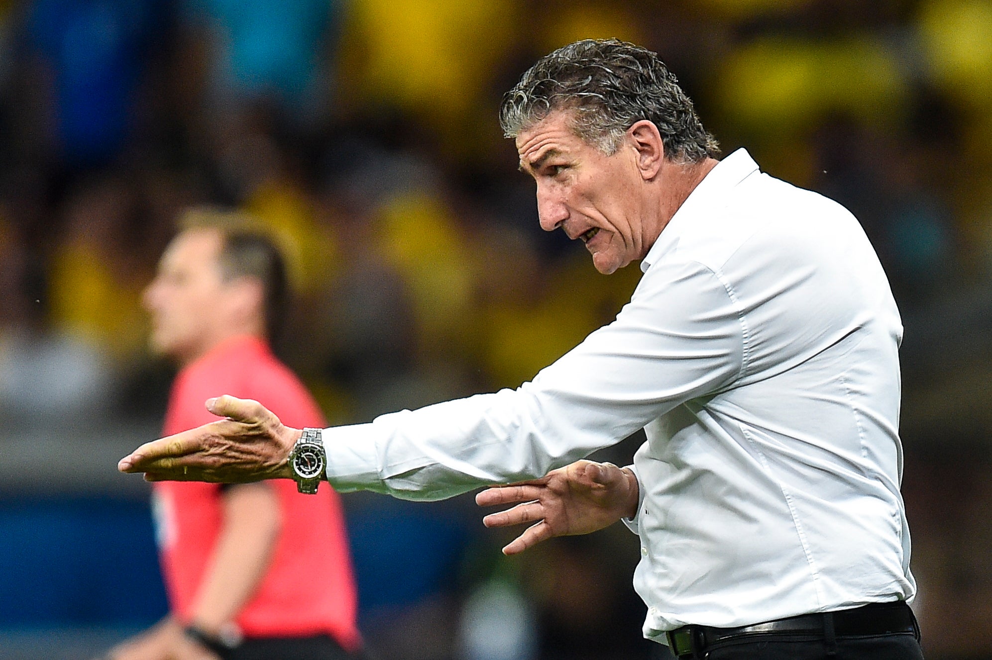La AFA destituye a Bauza como seleccionador de Argentina La AFA destituye a Bauza como seleccionador de Argentina
