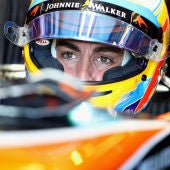 Fernando Alonso, a bordo del MCL32