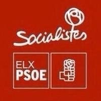 Los partidarios de Sánchez creen que su victoria debe abrir un debate en el PSOE de Elche Los partidarios de Sánchez creen que su victoria debe abrir un debate en el PSOE de Elche