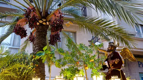 Trono de la Cofradía de la Oración del Huerto de Elche con tordos en la palmera del mismo. Semana Santa