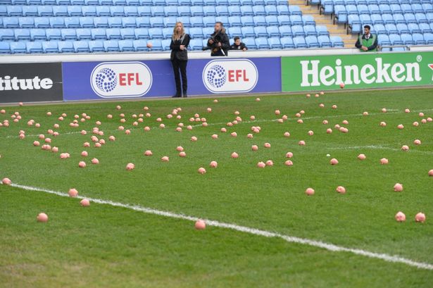 Una lluvia de cerditos de plástico obliga a retrasar el partido entre el Coventry y el Charlton Una lluvia de cerditos de plástico obliga a retrasar el partido entre el Coventry y el Charlton