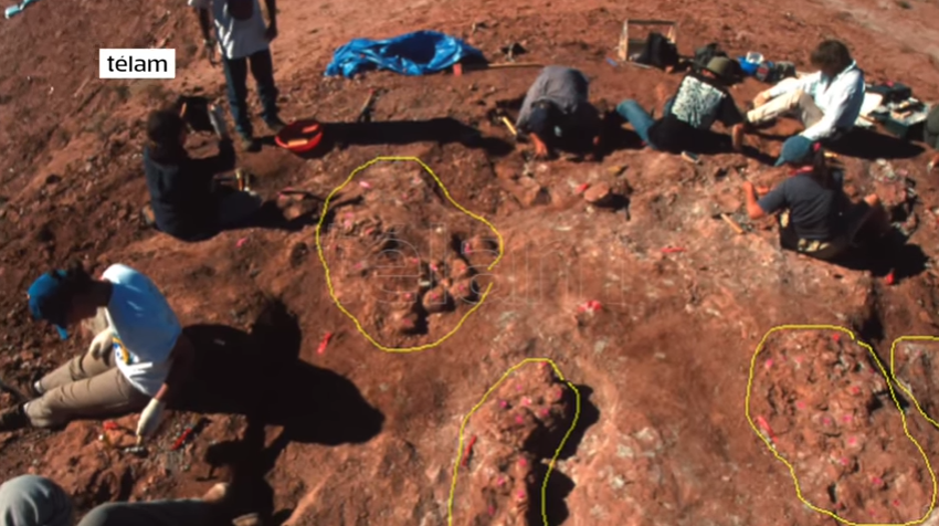 Encuentran huevos de dinosaurio con embriones en su interior de hace 70 millones de años Encuentran huevos de dinosaurio con embriones en su interior de hace 70 millones de años