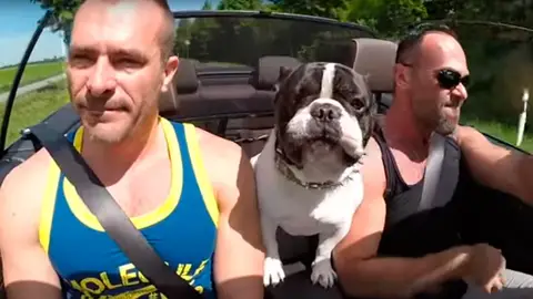 Junior, el bulldog que arrasa en las redes cantando Junior, el bulldog que arrasa en las redes cantando