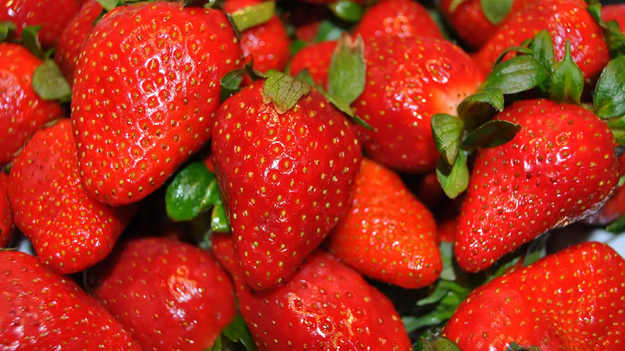 Un estudio en ratones muestra como actuan las fresas contra el cancer de mama Un estudio en ratones muestra como actuan las fresas contra el cancer de mama