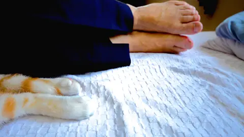 Jiji y Kinako duermen la siesta juntos Jiji y Kinako duermen la siesta juntos