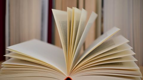 &iquest;Por qu&eacute; se celebra el d&iacute;a del libro el 23 de abril?