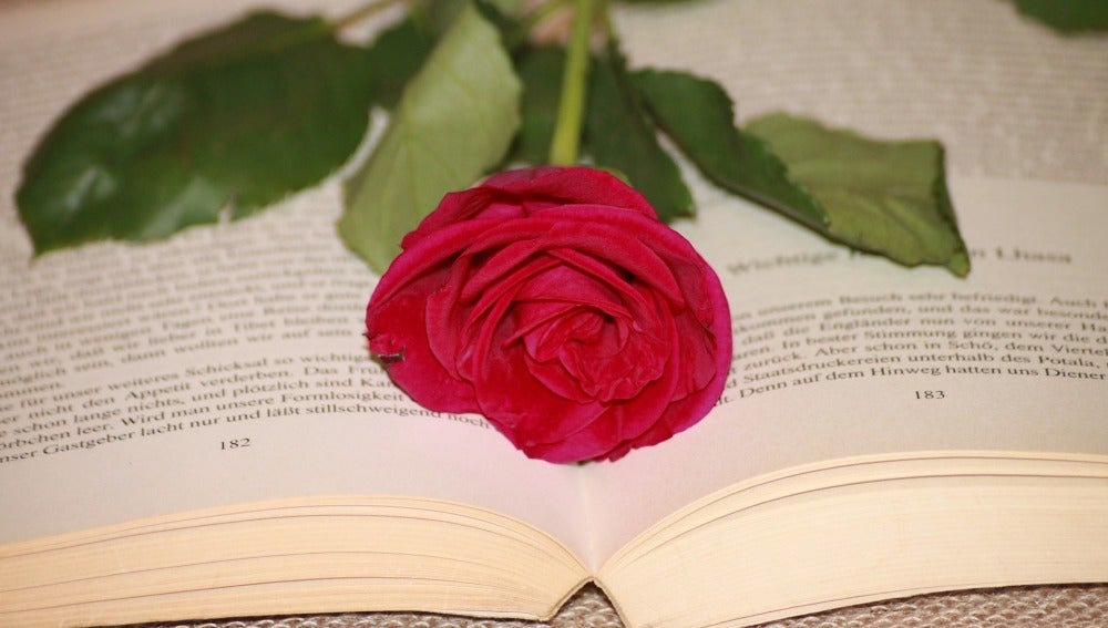 Una rosa roja y un libro, como regalo de Sant Jordi