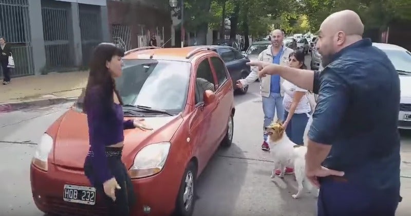 Intento fallido de una familia que intenta abandonar a su perro Intento fallido de una familia que intenta abandonar a su perro