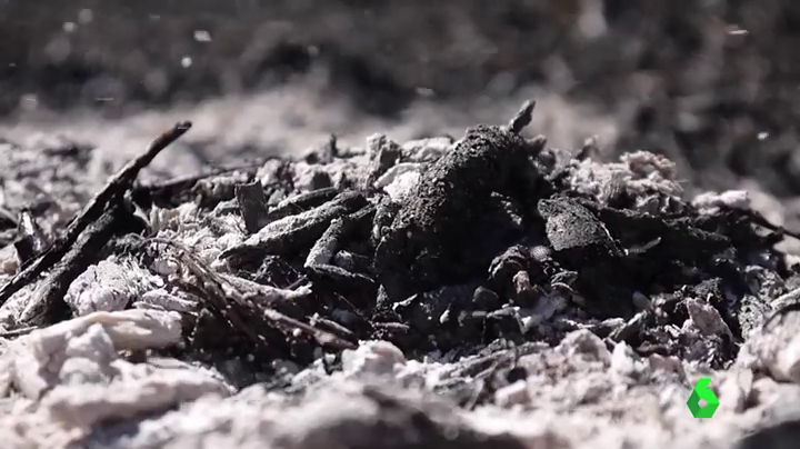 Arco acolle un espazo que lembra os lumes forestais deste verán en Ourense Arco acolle un espazo que lembra os lumes forestais deste verán en Ourense