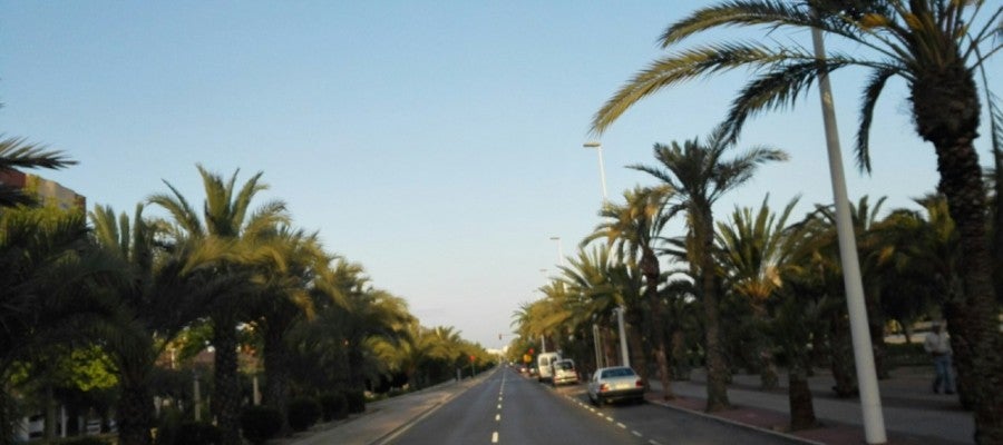 En Elche se espera un día soleado. En Elche se espera un día soleado.