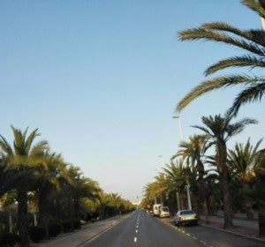 En Elche se espera un día soleado. En Elche se espera un día soleado.