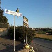 El loro que solía acompañar a Scarponi en sus entrenamientos El loro que solía acompañar a Scarponi en sus entrenamientos
