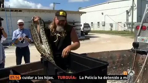 Frame 18.971428 de: SERPIENTES Frame 18.971428 de: SERPIENTES