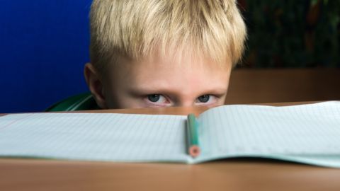 El tratamiento neuropsicologico reduce la agresividad y el aislamiento en ninos con TDAH