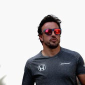 Fernando Alonso durante un Gran Premio