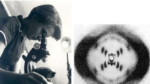 Rosalind Franklin y la foto 51