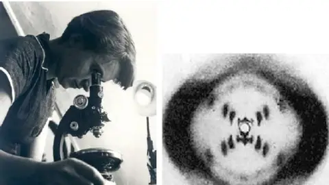 Rosalind Franklin y la foto 51 Rosalind Franklin y la foto 51