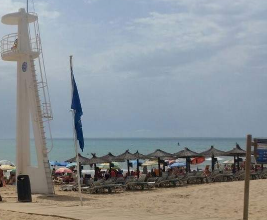 Ilicitanos por Elche denuncia que el servicio de socorrismo costará este año lo mismo que en anteriores ofreciendo menos servicios Ilicitanos por Elche denuncia que el servicio de socorrismo costará este año lo mismo que en anteriores ofreciendo menos servicios