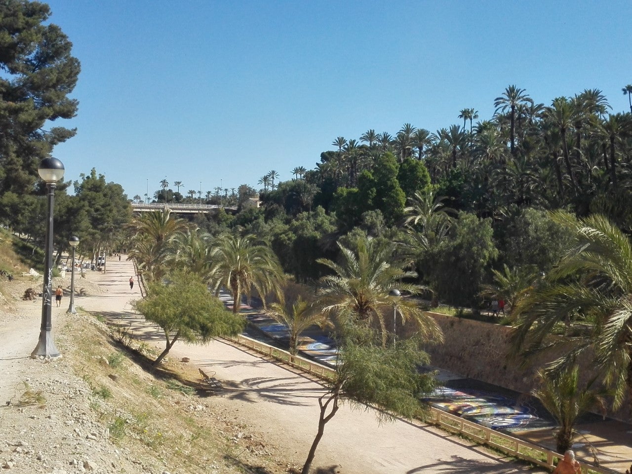 Elche proyecta crear una zona wifi en la ladera del río Vinalopó Elche proyecta crear una zona wifi en la ladera del río Vinalopó