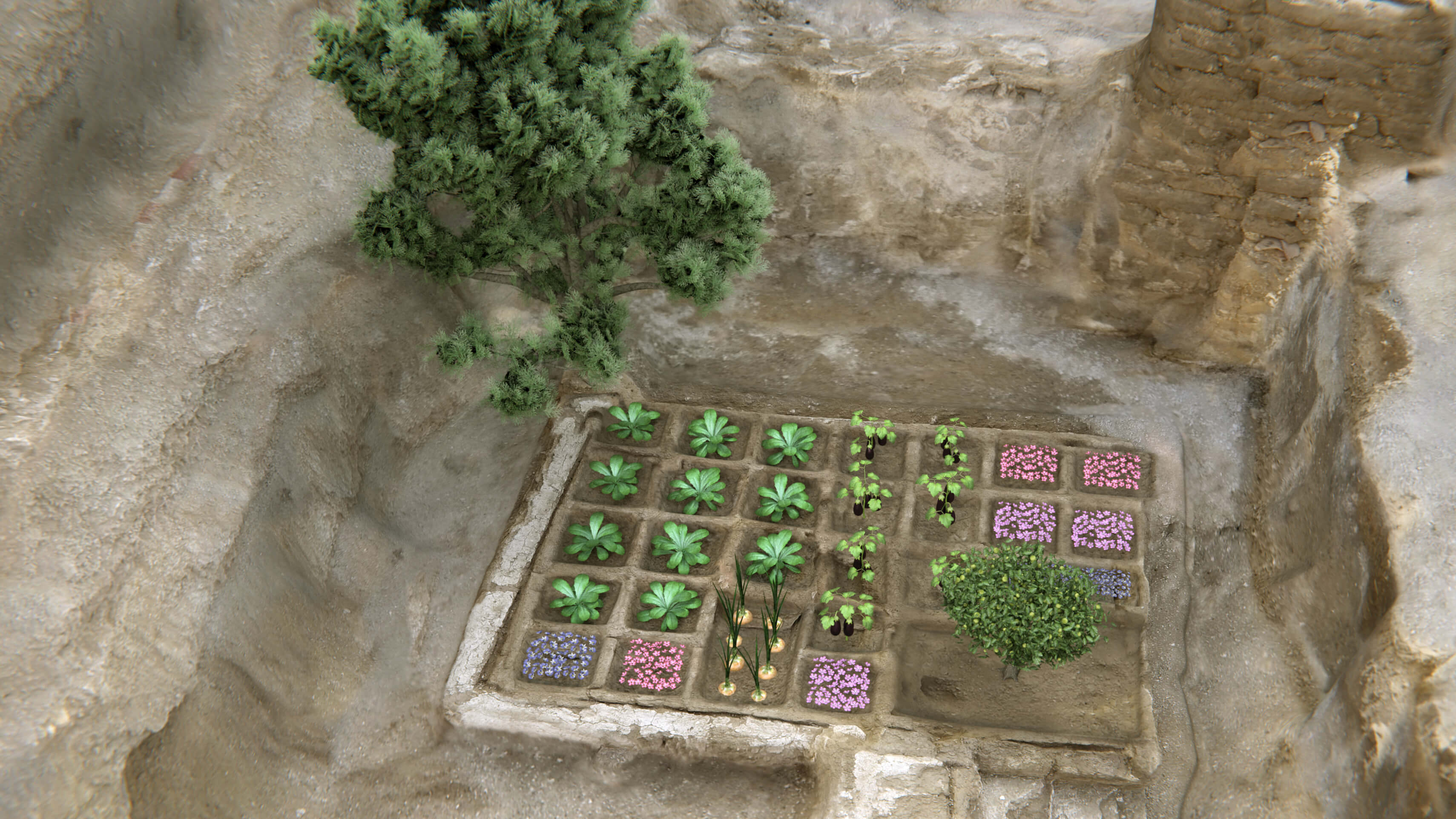 “Hasta el hallazgo del jardín no se sabía si las representaciones de jardines en las tumbas de los egipcios representaban la realidad o no" “Hasta el hallazgo del jardín no se sabía si las representaciones de jardines en las tumbas de los egipcios representaban la realidad o no"